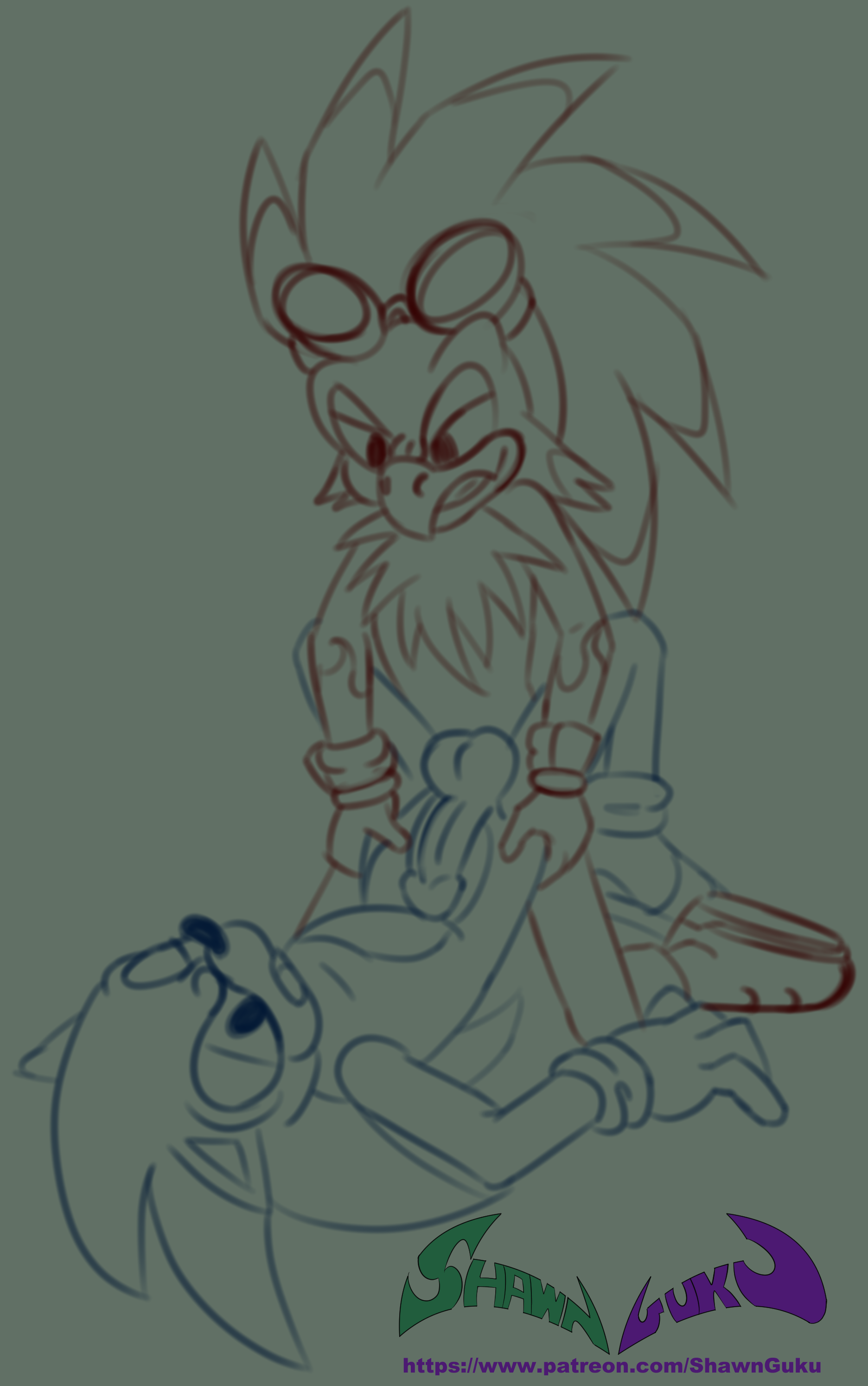 Jet The Hawk (Sonic (Series)) Rule 34 Image