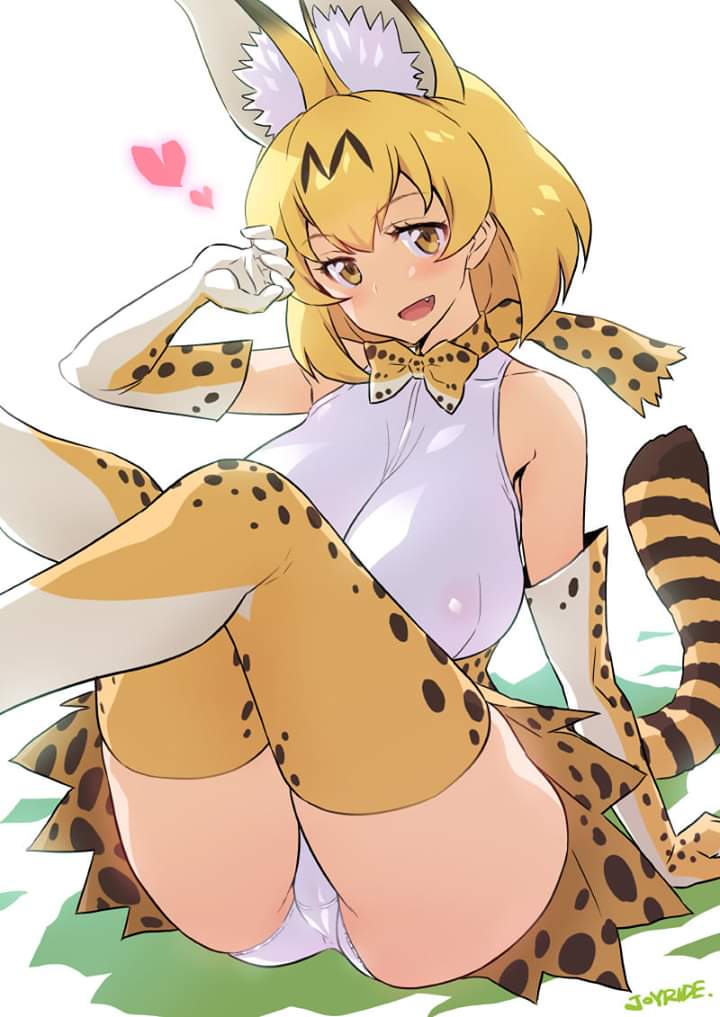 Serval (Kemono Friends) Rule 34 Image
