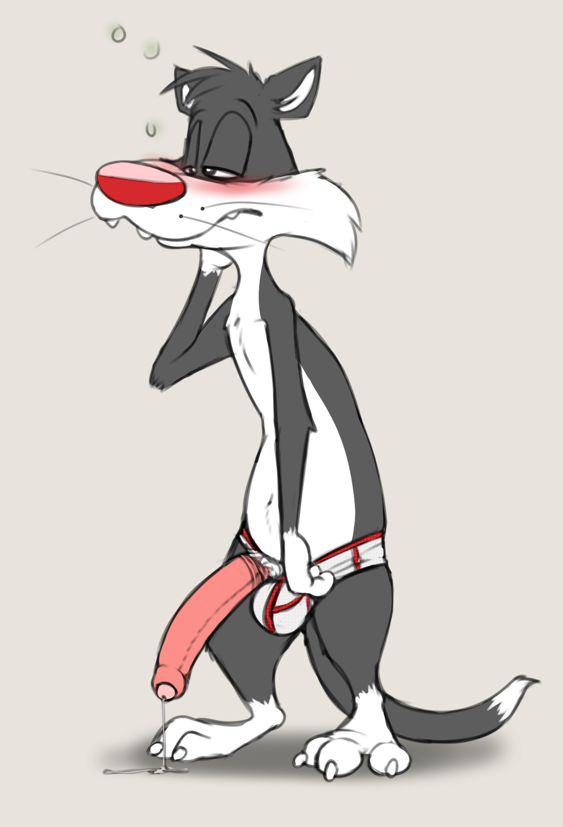 Sylvester (Looney Tunes) Rule 34 Image