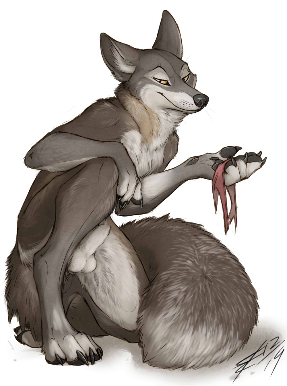Animal Genitalia Rule 34 Image
