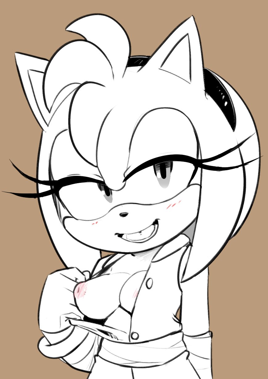 Amy Rose (Boom) Rule 34 Image