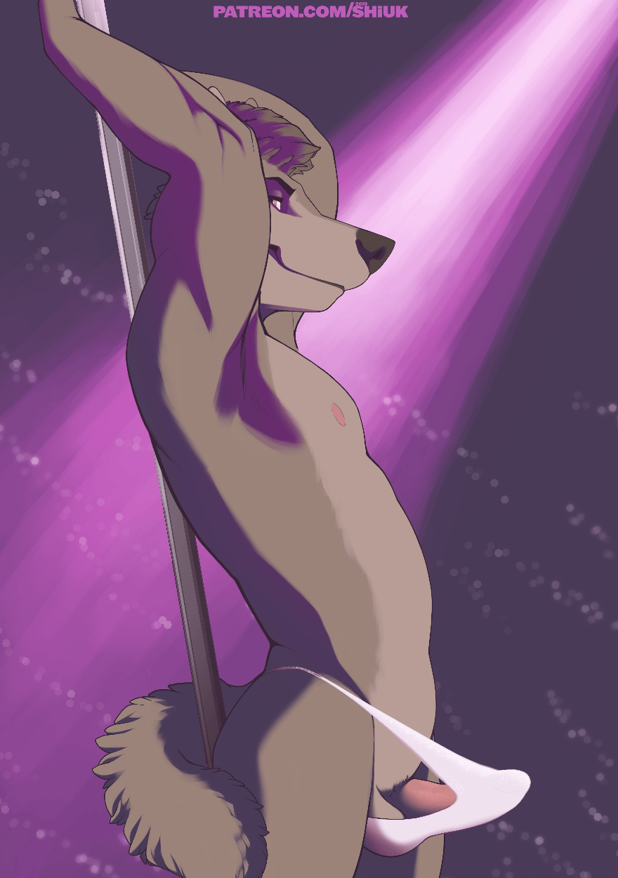2019 Rule 34 Image