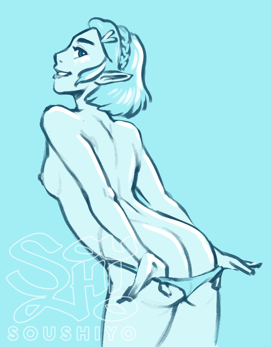 Princess Zelda (Breath Of The Wild) Rule 34 Image