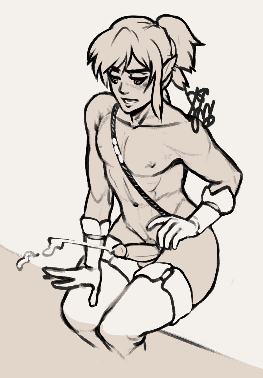 Link (Breath Of The Wild) Rule 34 Image