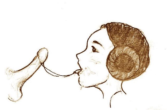 Princess Leia Organa (A New Hope) Rule 34 Image