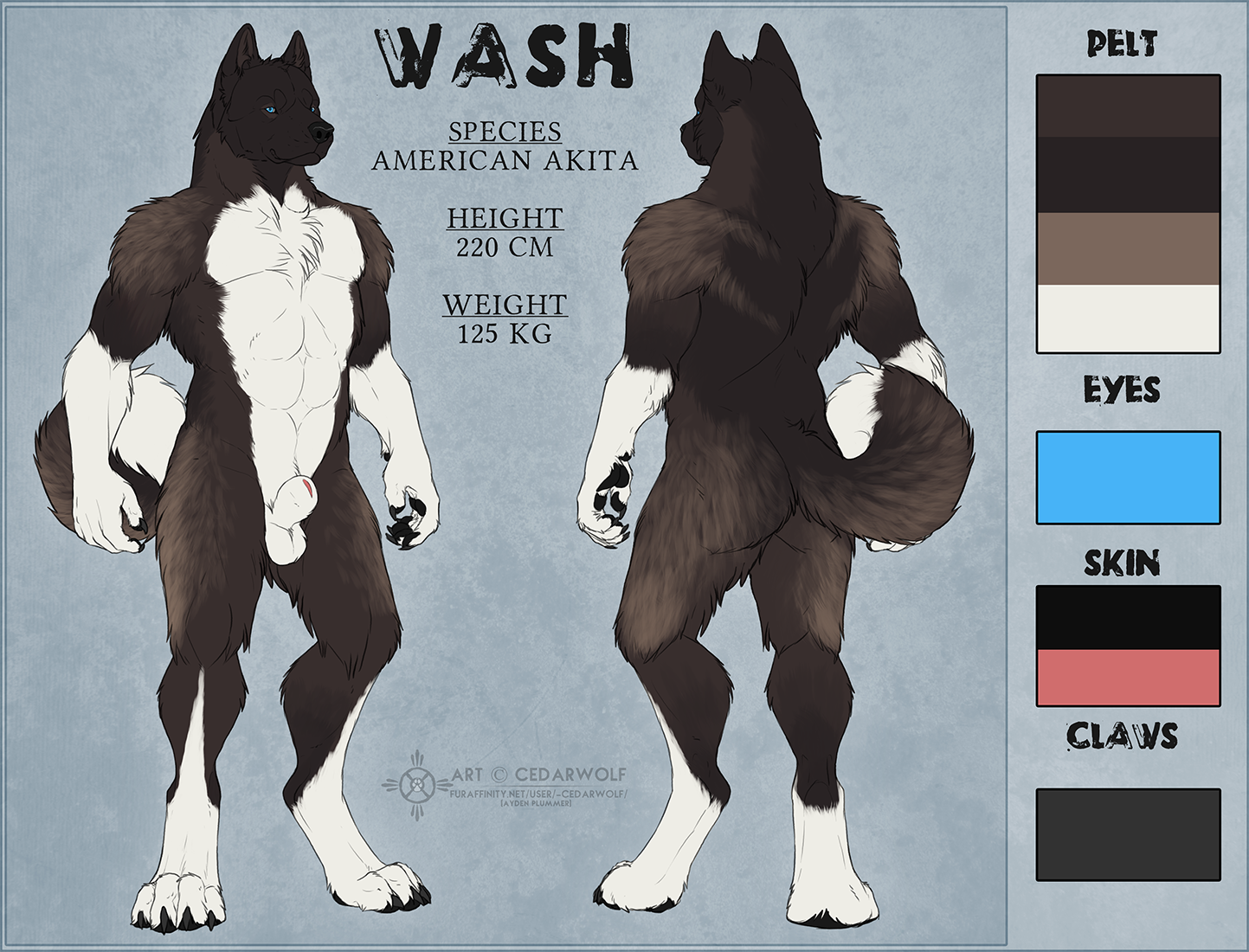 Akitawash Rule 34 Image