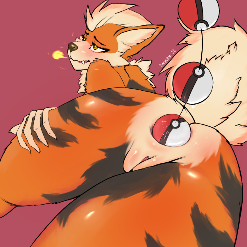 Arcanine (Nintendo) Rule 34 Image