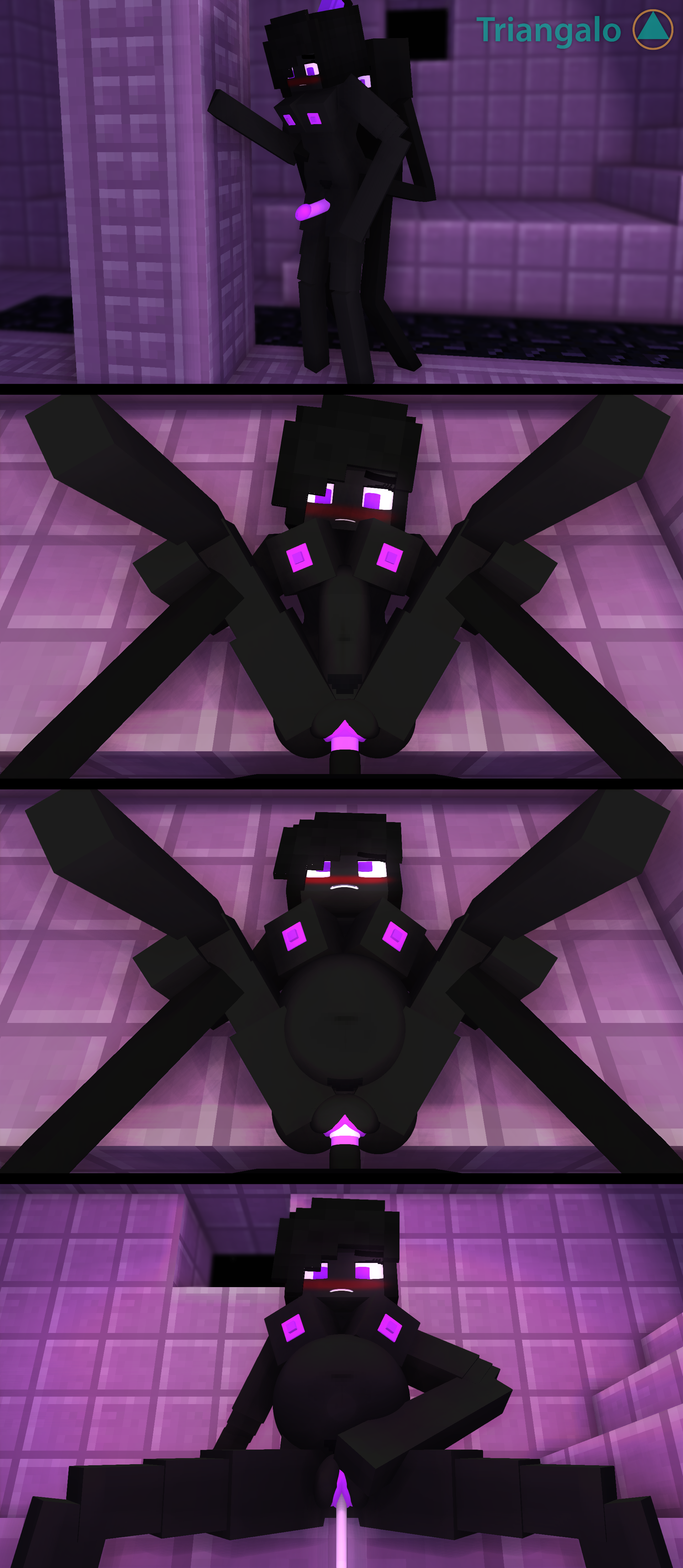The End (Minecraft) Rule 34 Image