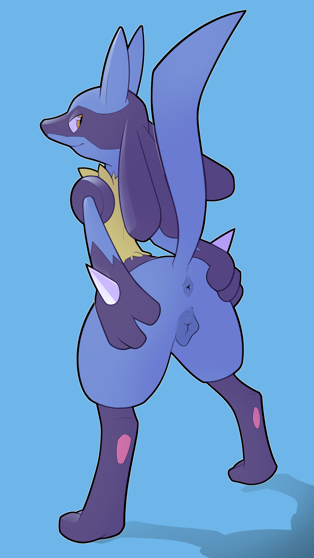 Lucario (Nintendo) Rule 34 Image