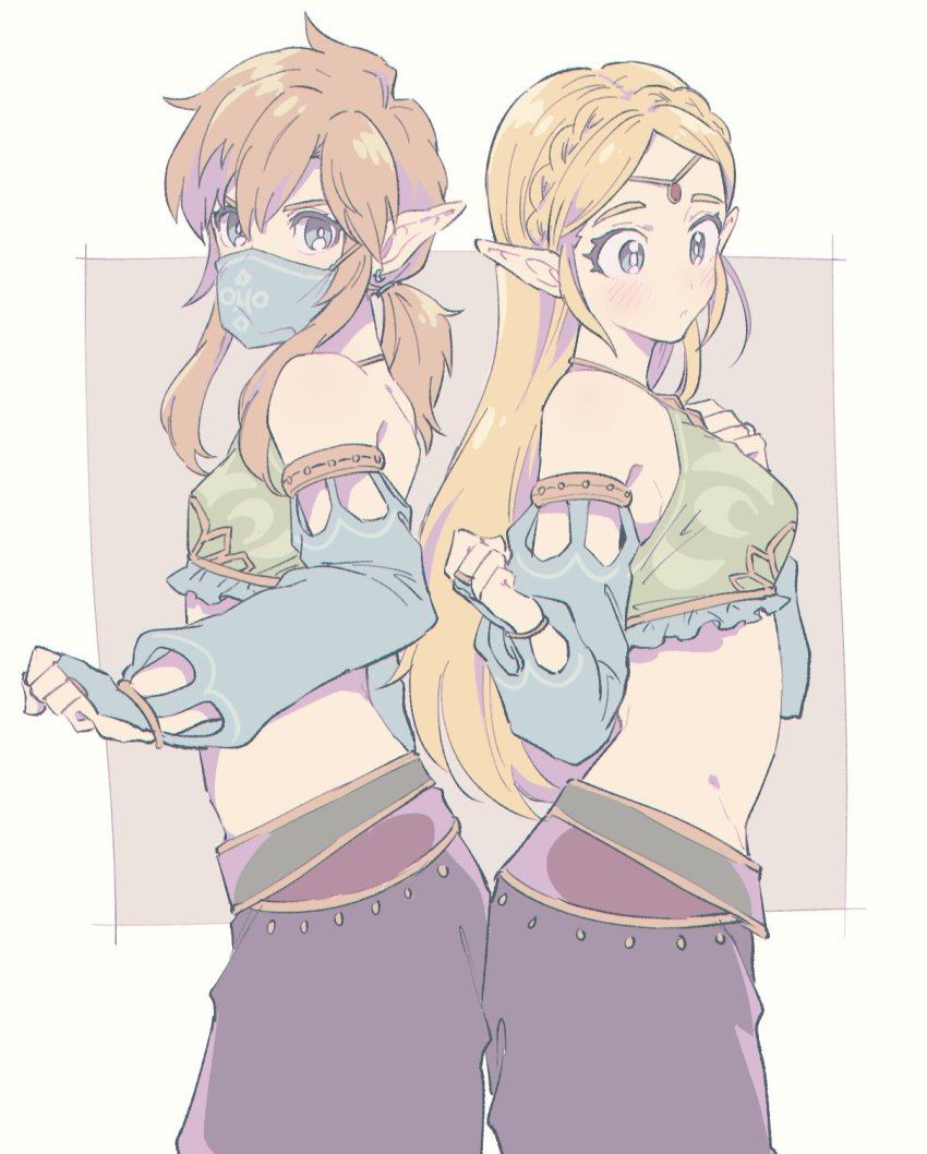 Gerudo Link (Breath Of The Wild) Rule 34 Image