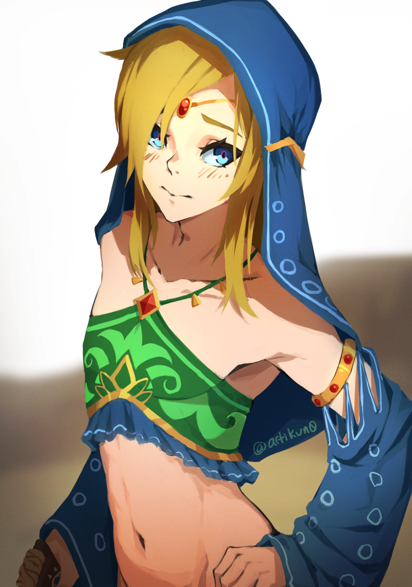 Gerudo Link (Breath Of The Wild) Rule 34 Image