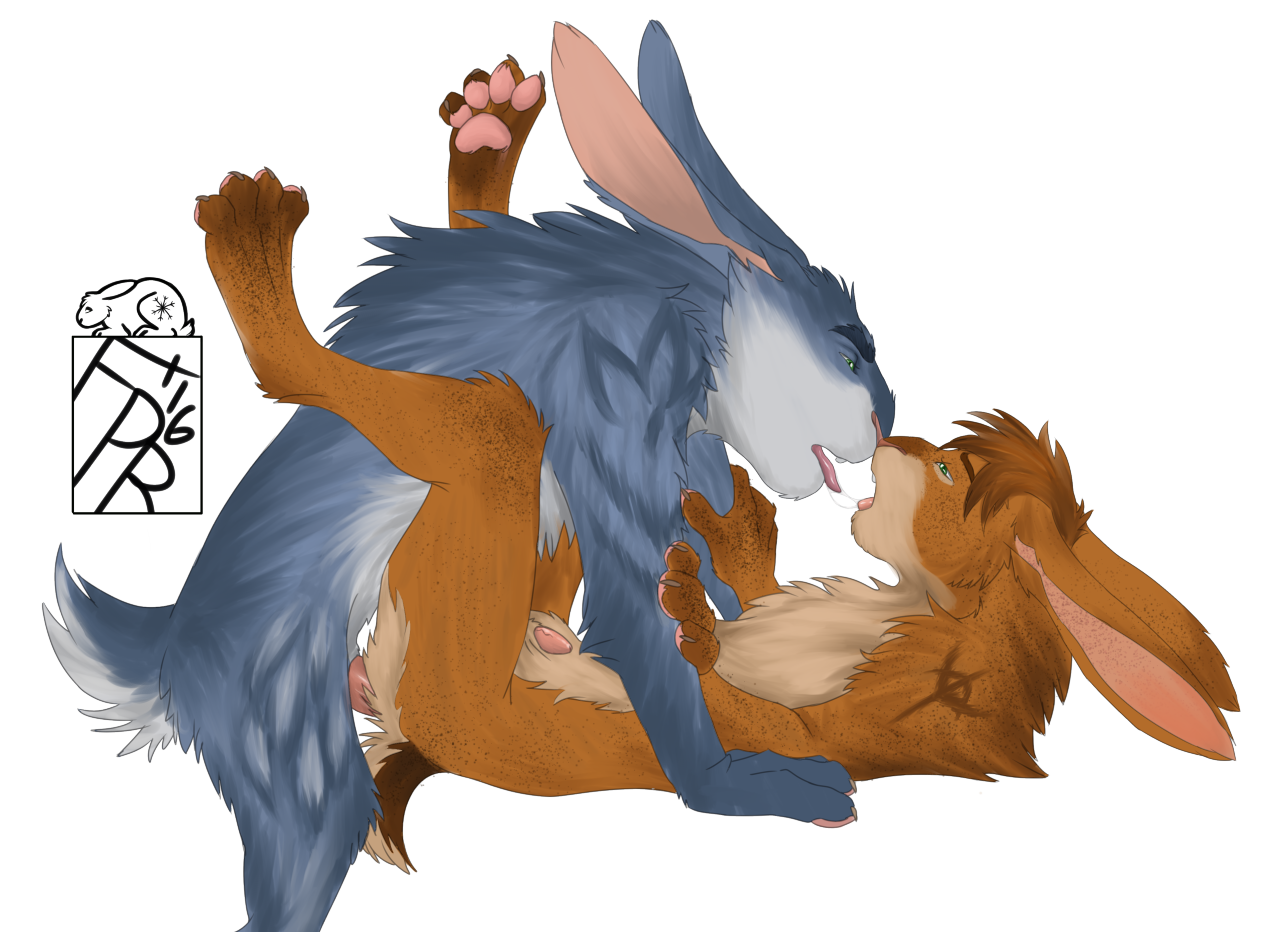Bunnymund (Dreamworks) Rule 34 Image