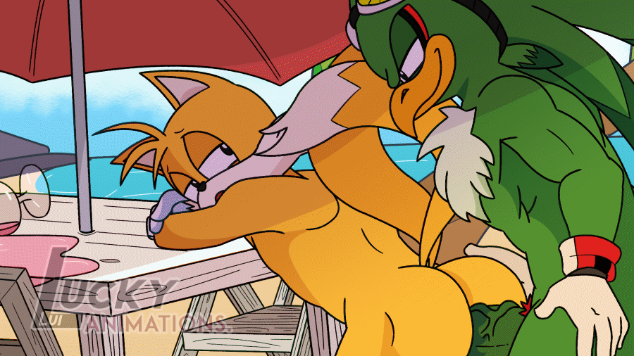 Jet The Hawk (Sonic (Series)) Rule 34 Image