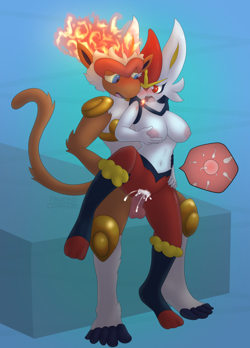 Cinderace (Nintendo) Rule 34 Image
