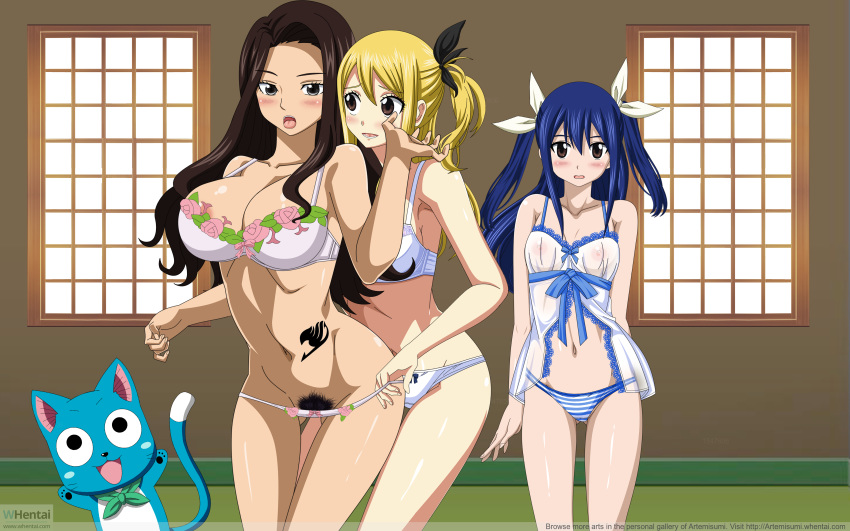 Cana Alberona (Fairy Tail) Rule 34 Image
