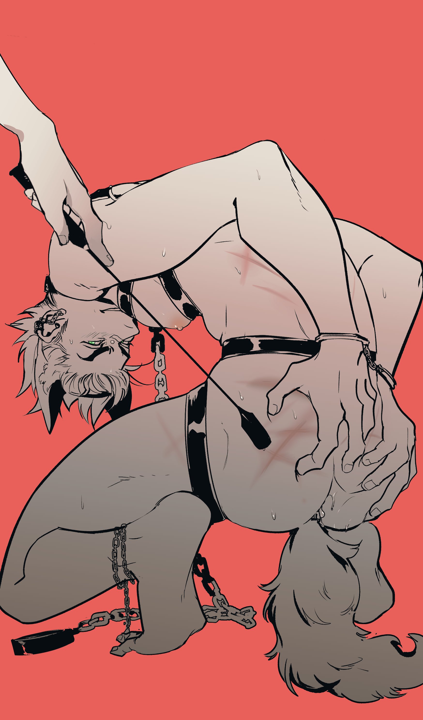 Bondage Rule 34 Image