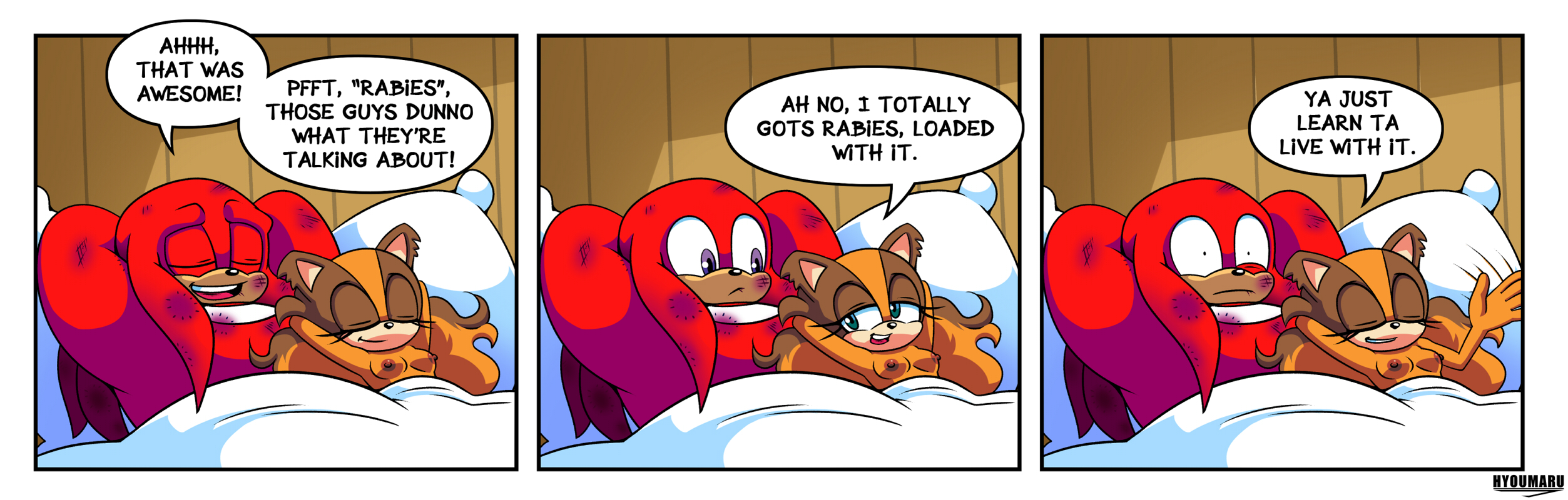Knuckles (Boom) Rule 34 Image