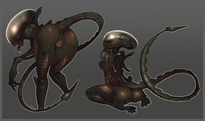 Female Xenomorph (Alien (Franchise)) Rule 34 Image