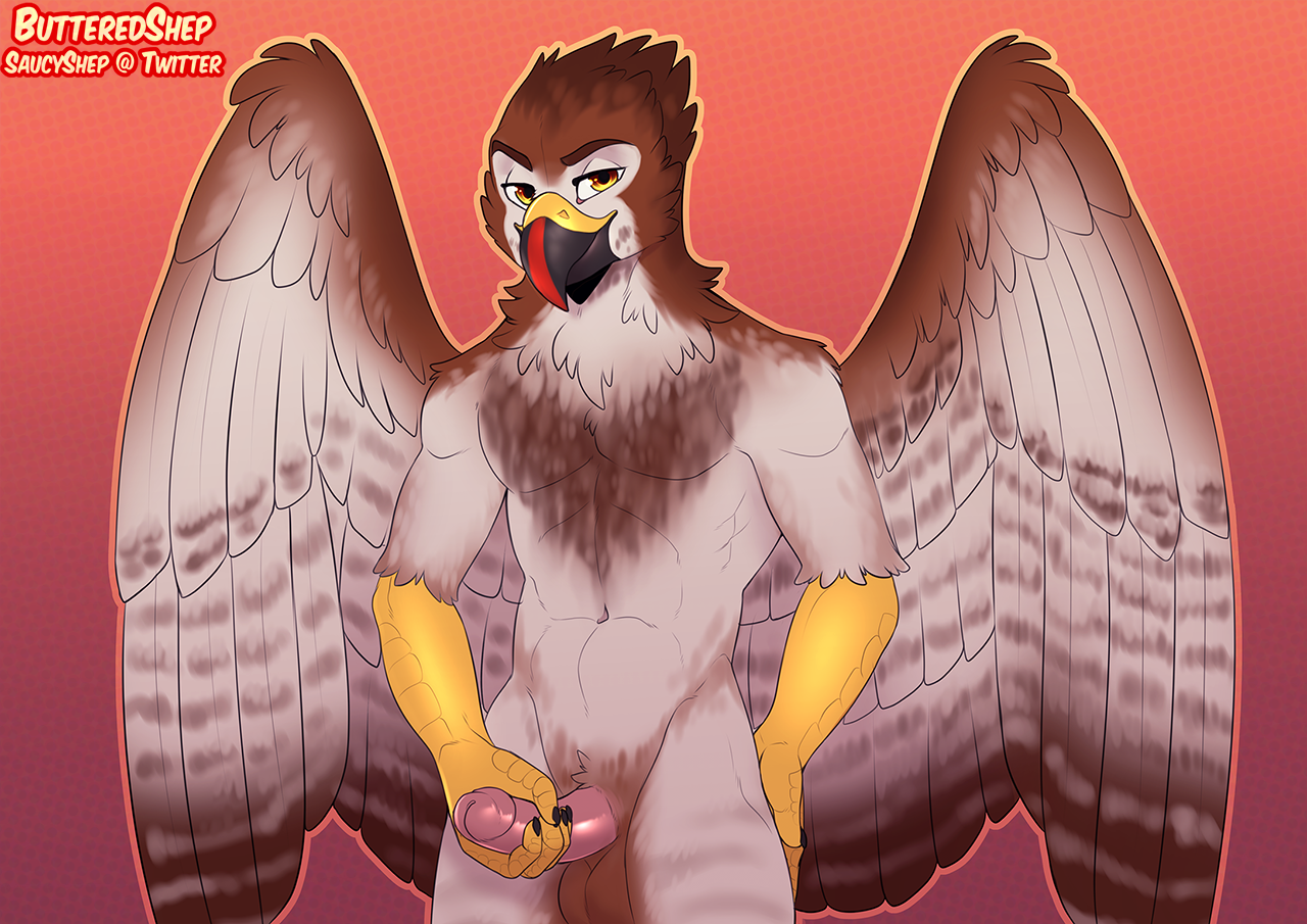 Accipitrid Rule 34 Image