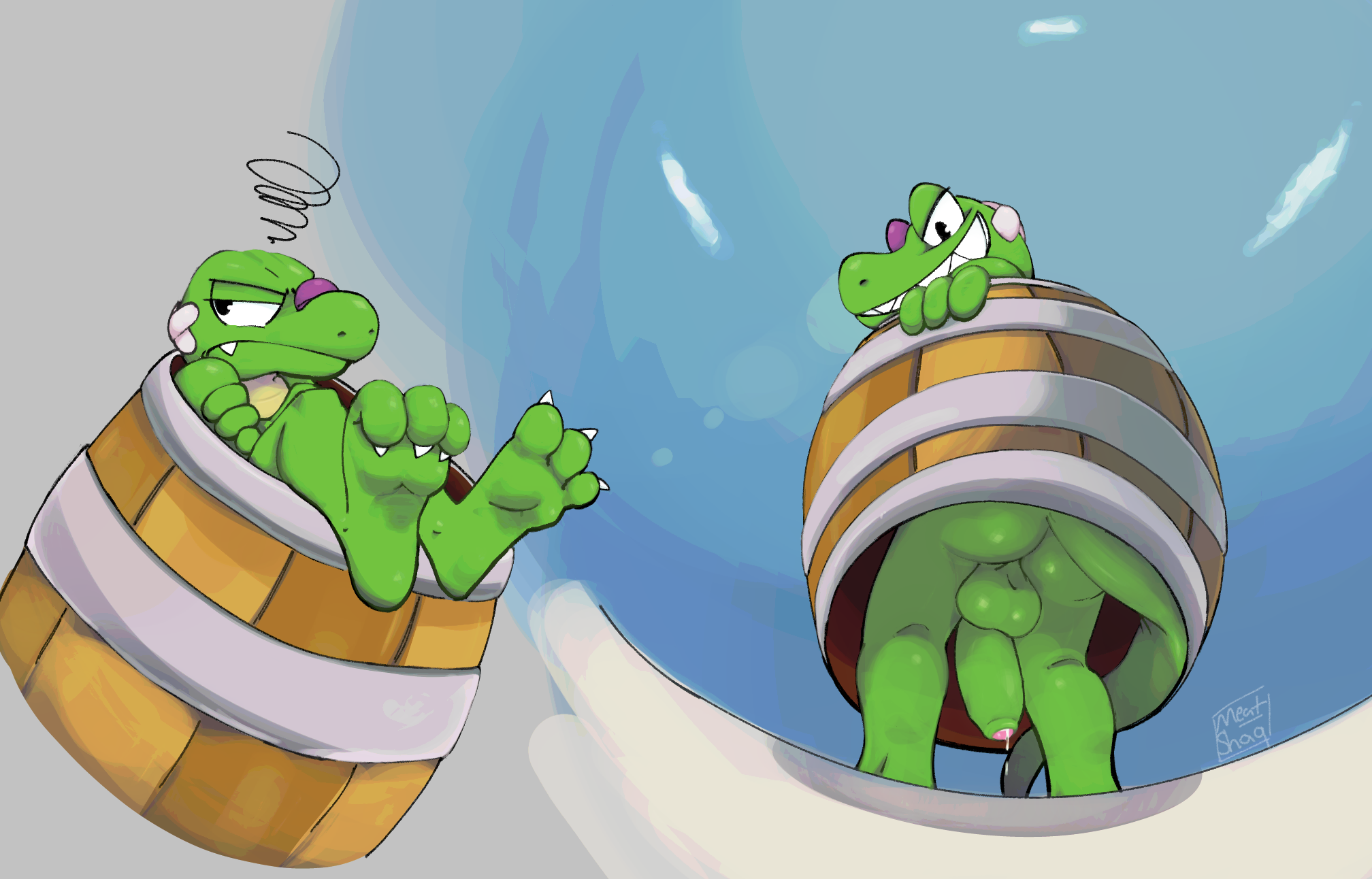 Donkey Kong (Series) Rule 34 Image