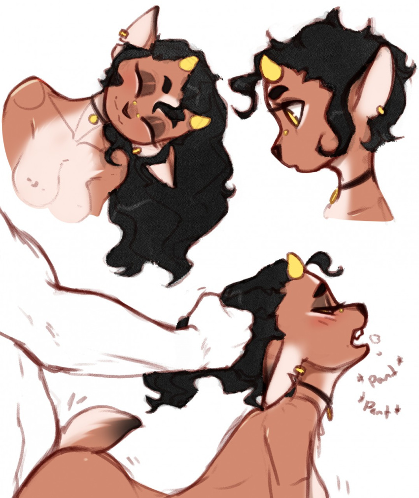 Kody (Pudgeruffian) Rule 34 Image