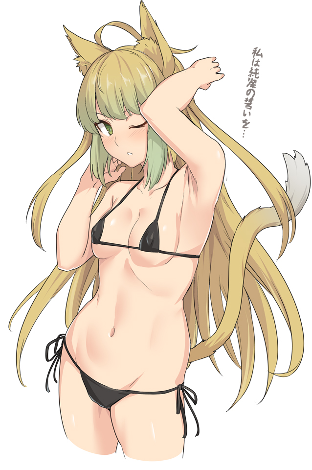 Atalanta (Fate) Rule 34 Image
