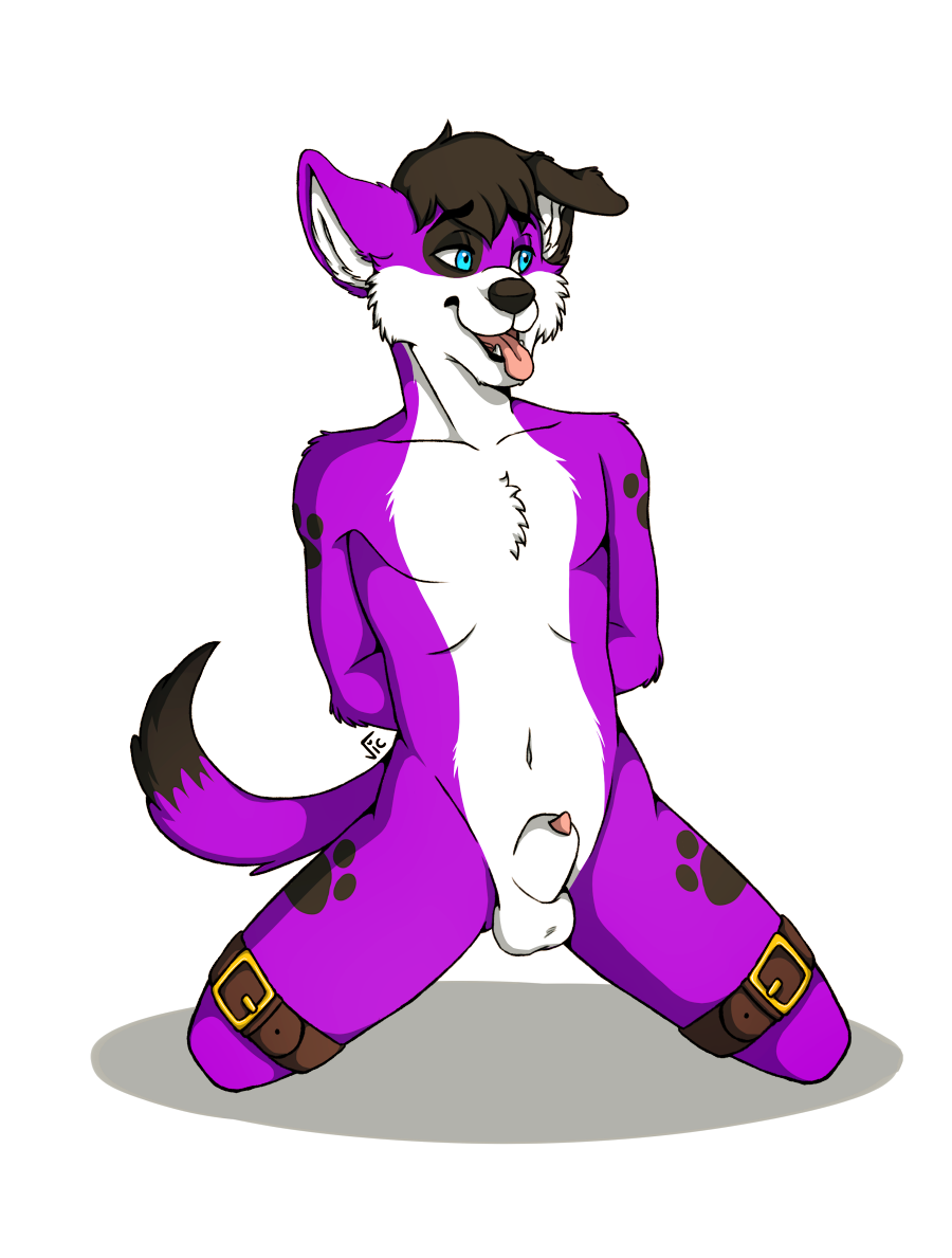 Pawalo Rule 34 Image