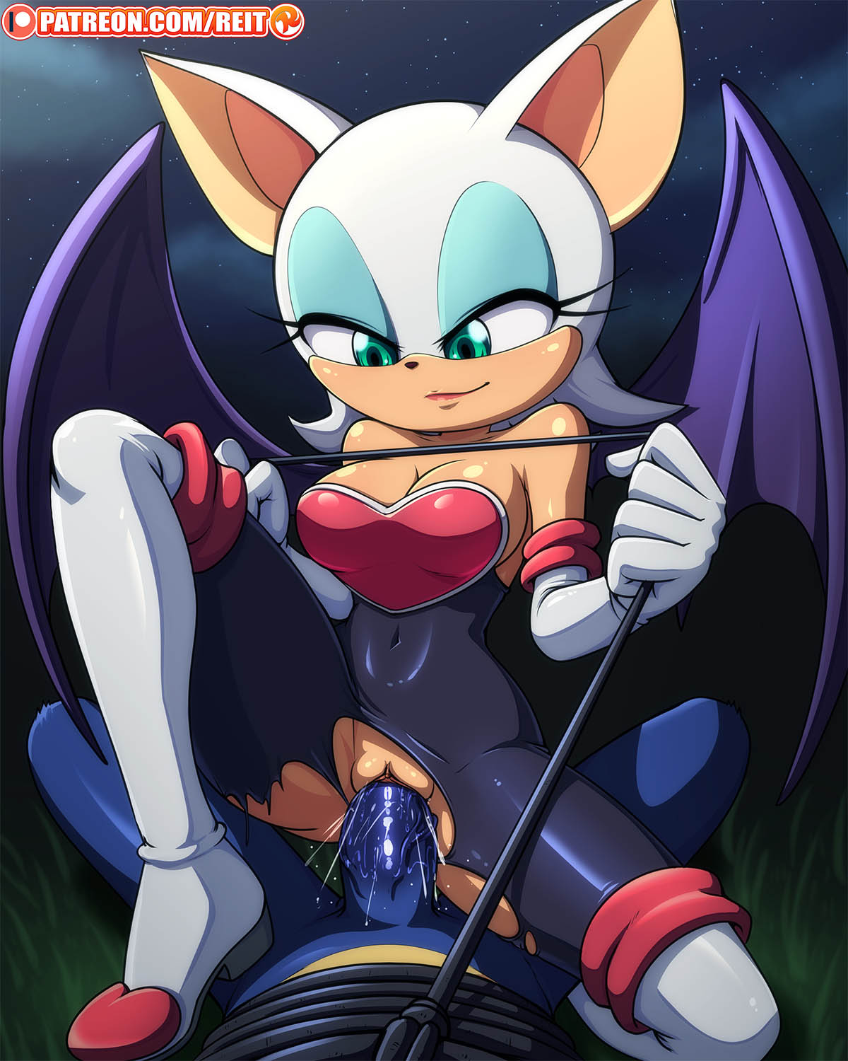 Rouge The Bat (Patreon) Rule 34 Image