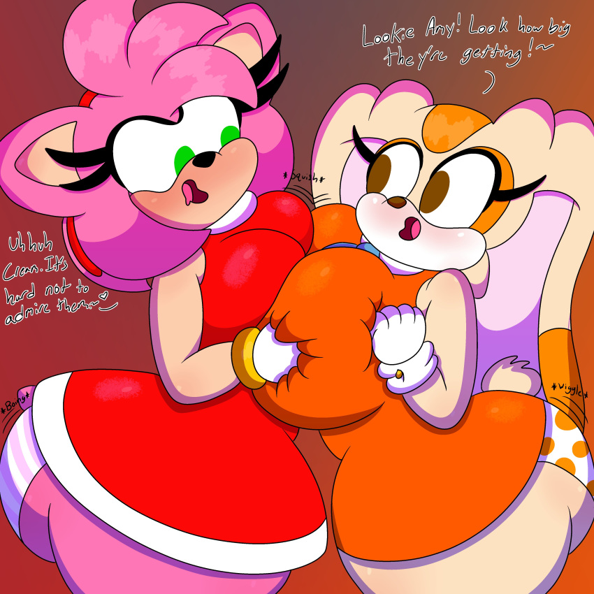 Amy Rose (Sega) Rule 34 Image