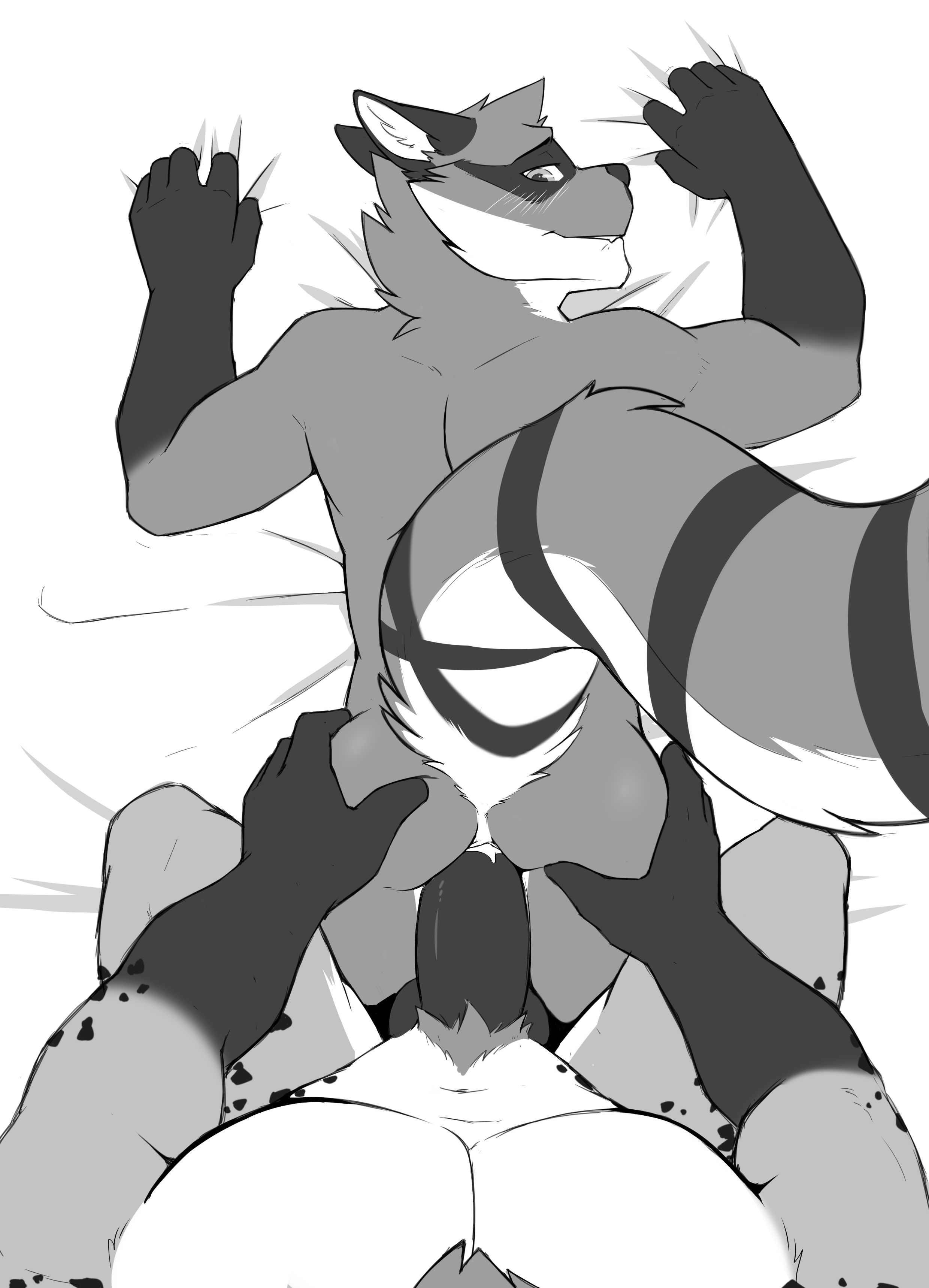 Gnorr Rule 34 Image