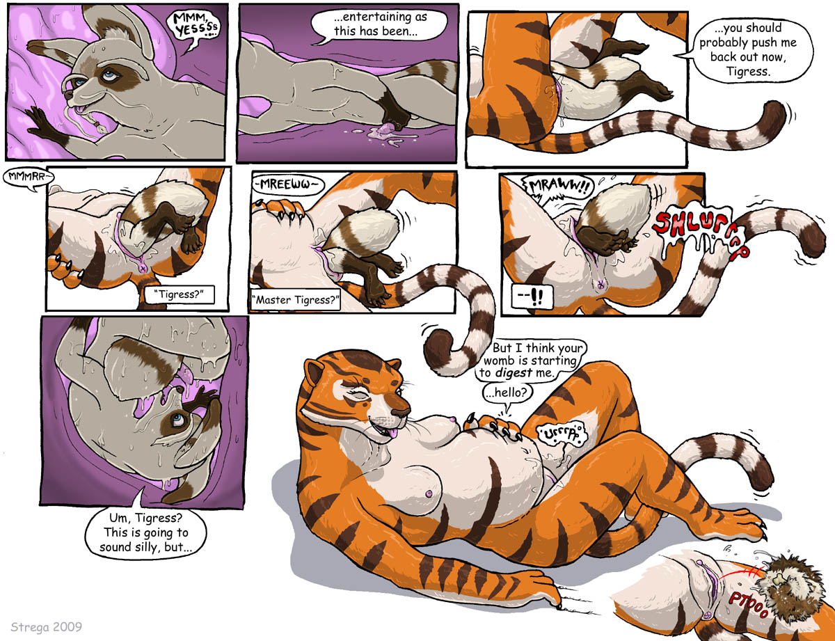 Master Shifu (Dreamworks) Rule 34 Image
