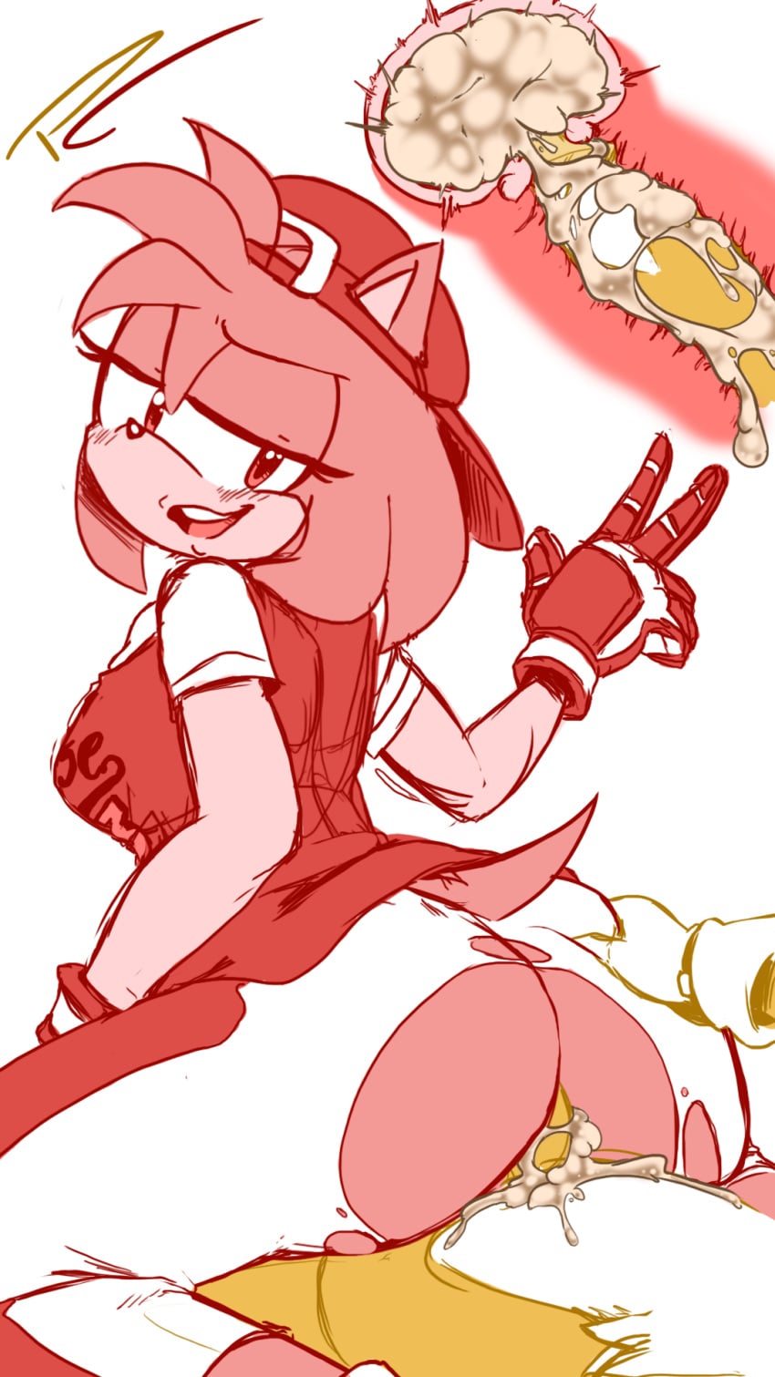 All-Star Amy (Sonic (Series)) Rule 34 Image