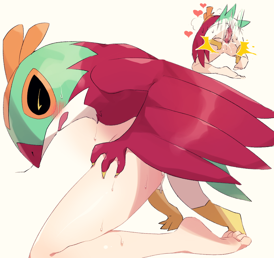 Hawlucha (Nintendo) Rule 34 Image