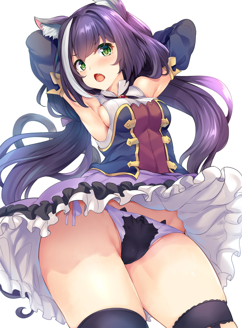 Kyaru (Princess Connect) Rule 34 Image