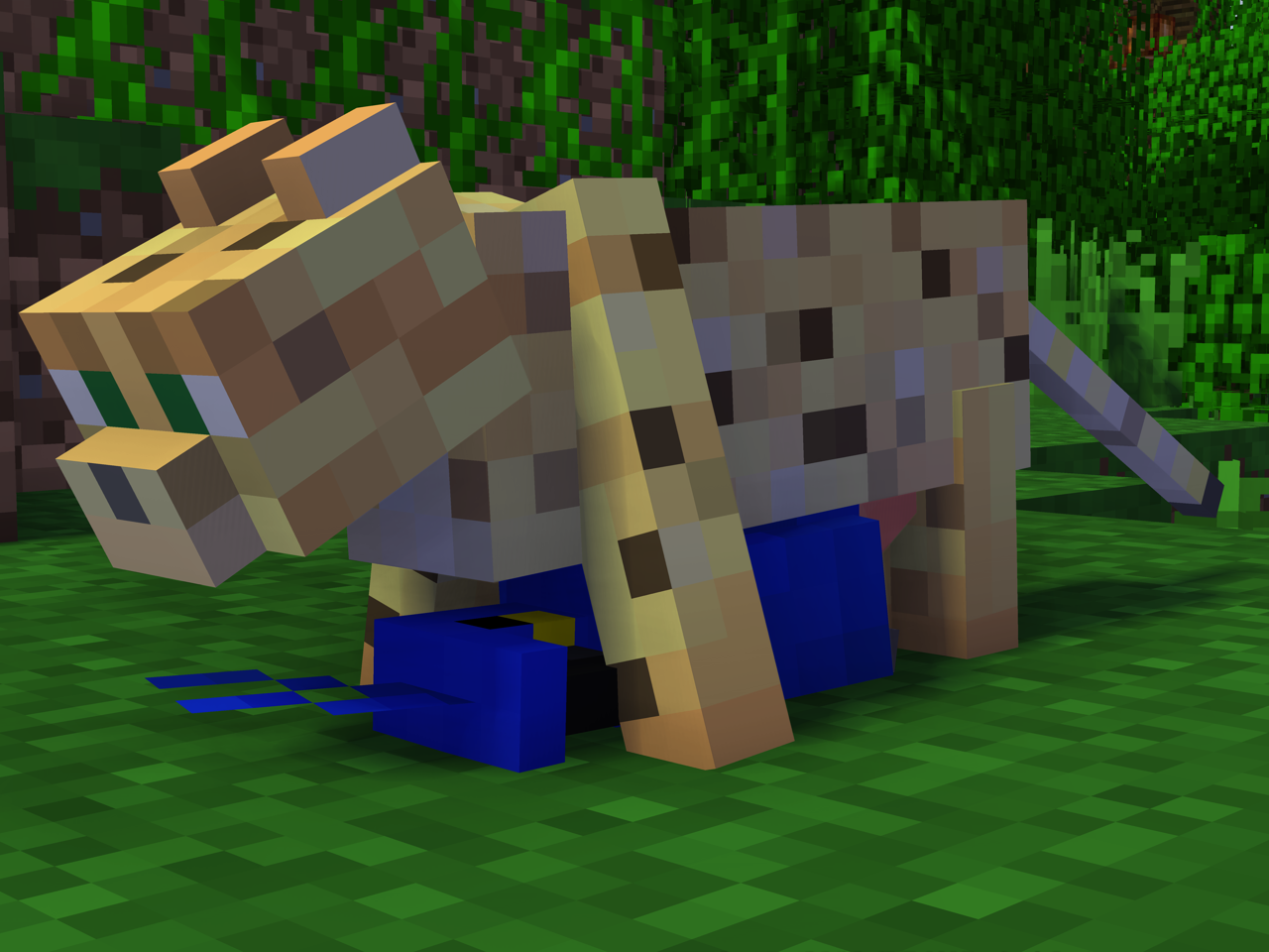 Ocelot (Minecraft) Rule 34 Image