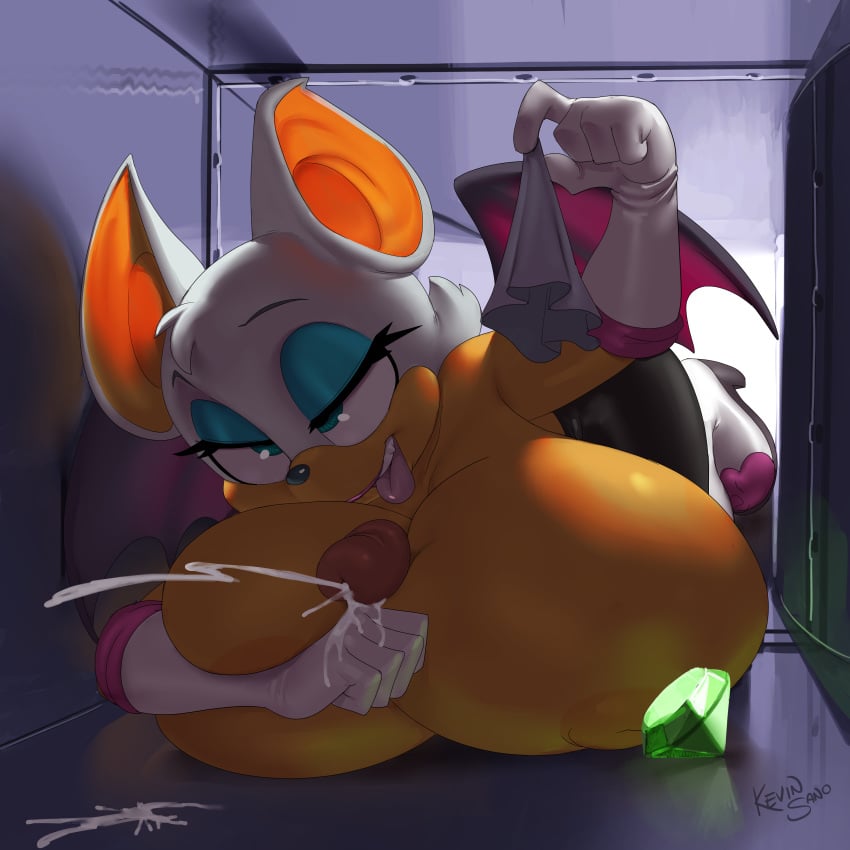 Rouge The Bat (Sonic (Series)) Rule 34 Image