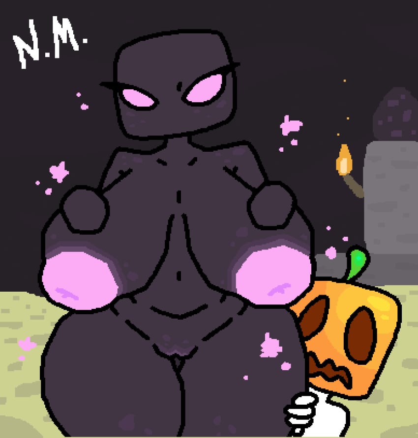 The End (Minecraft) Rule 34 Image
