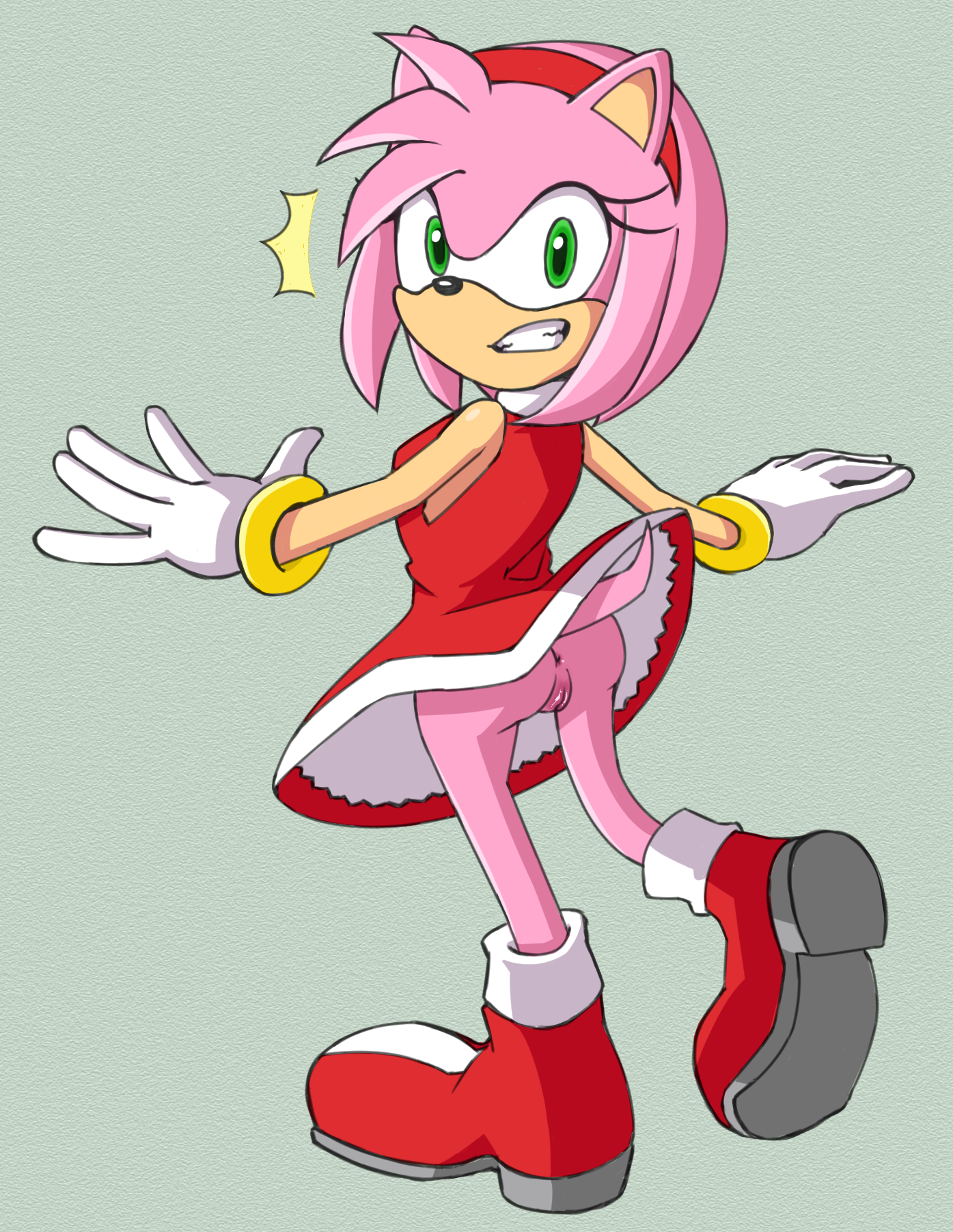 Amy Rose (Sonic (Series)) Rule 34 Image
