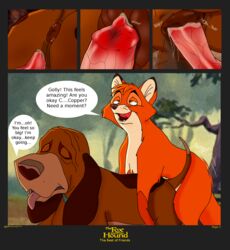Copper (Fath) Rule 34 Image