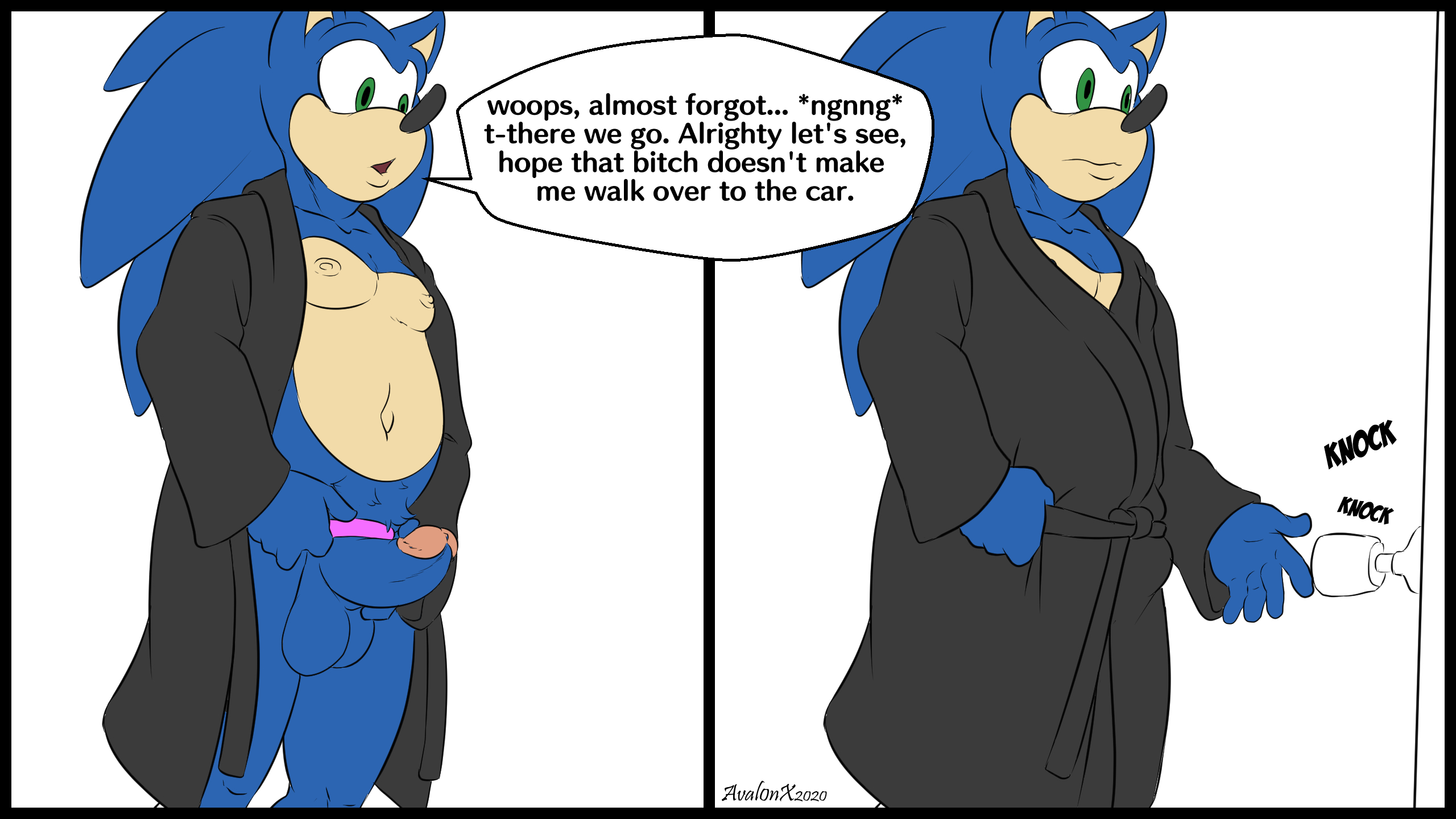 Sonic (Series) Rule 34 Image