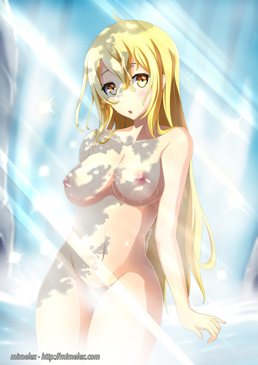 Aiz Wallenstein (Dungeon Ni Deai Wo Motomeru No Wa Machigatteiru Darou Ka) Rule 34 Image