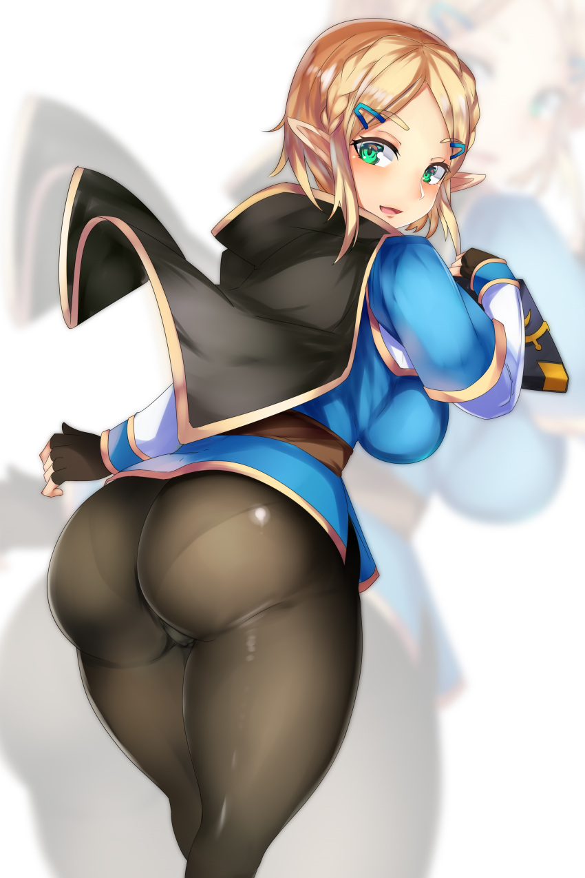 Princess Zelda (Breath Of The Wild) Rule 34 Image