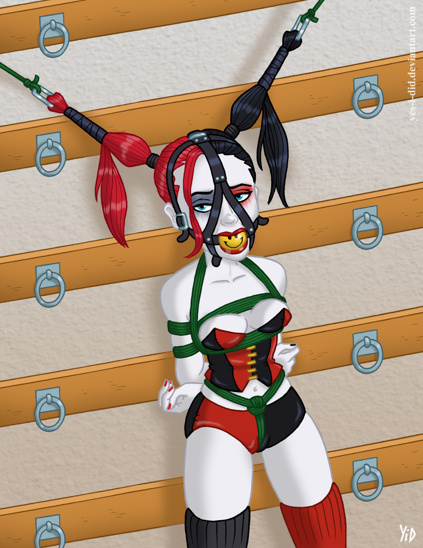 Harley Quinn (Batman (Series)) Rule 34 Image