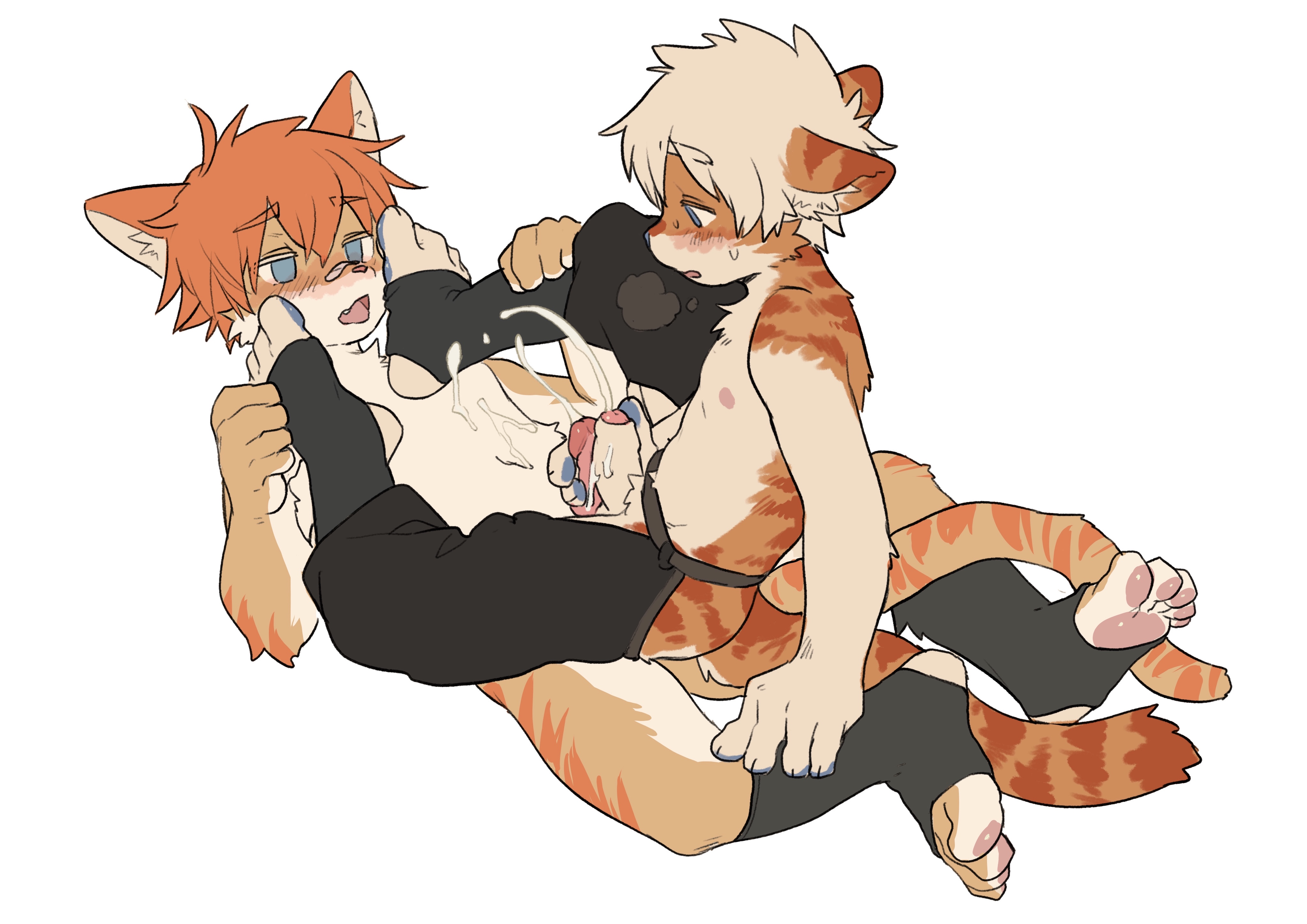 Hkl Rule 34 Image