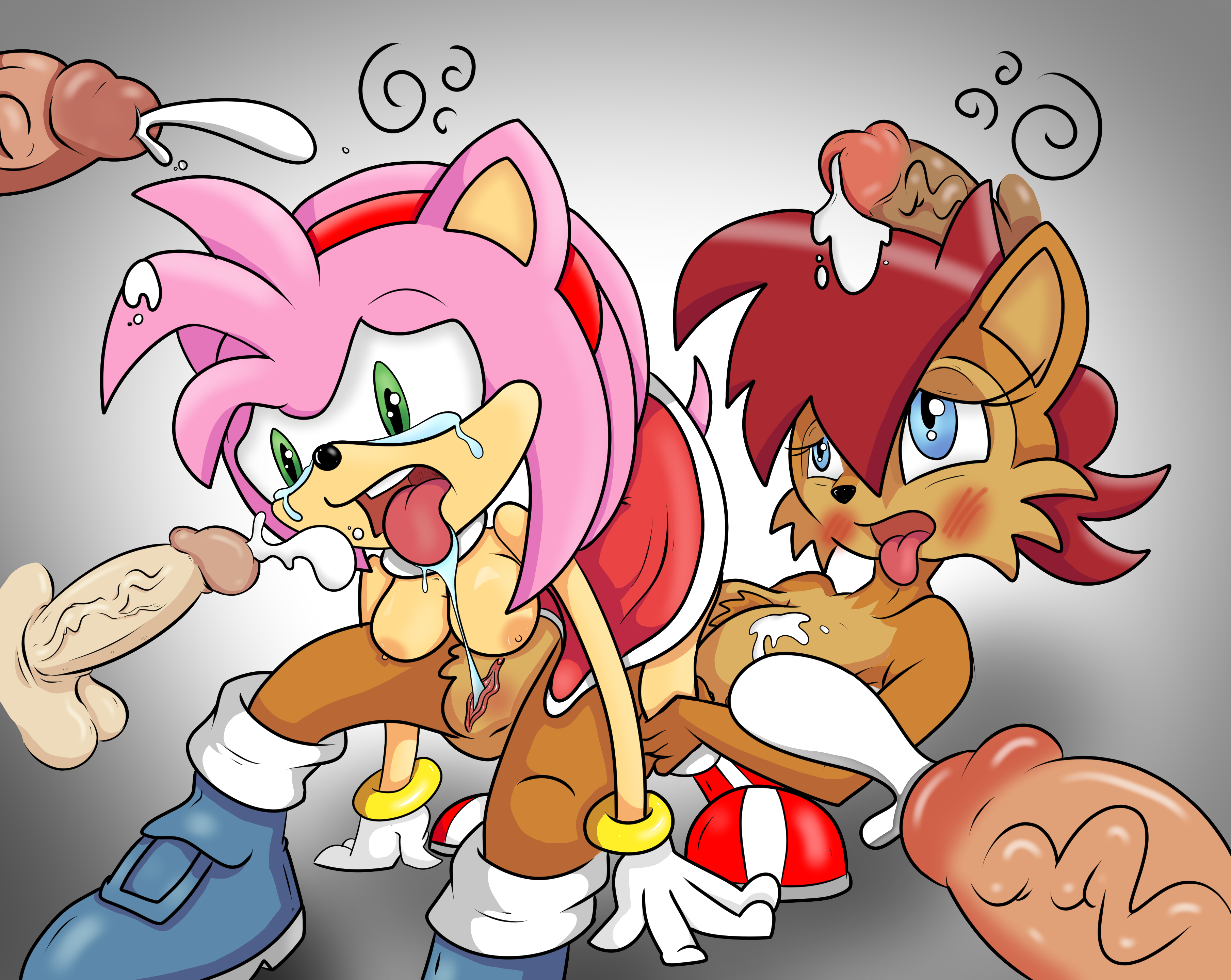 Amy Rose (Sonic (Series)) Rule 34 Image