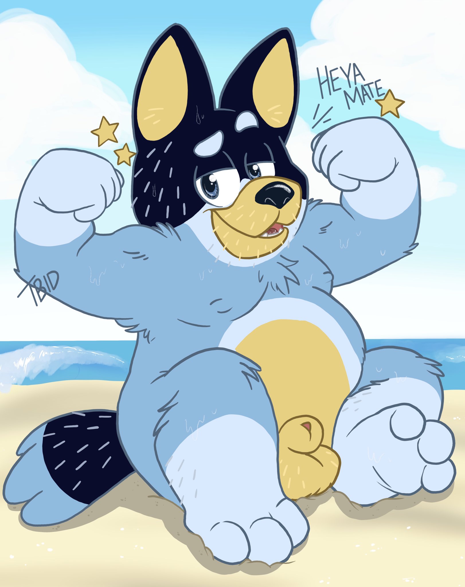 Bandit Heeler (Bluey (Series)) Rule 34 Image