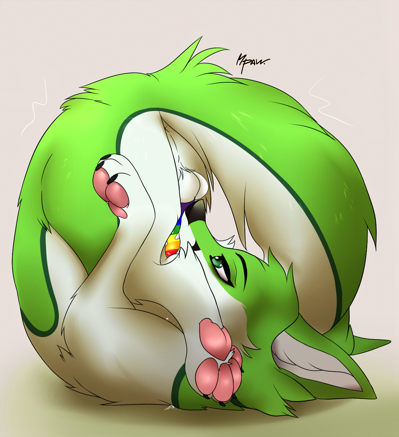 Fidget The Fox Rule 34 Image