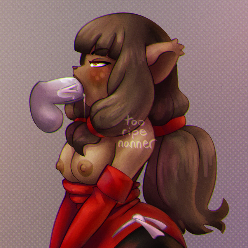 Ecaflip (Ankama) Rule 34 Image