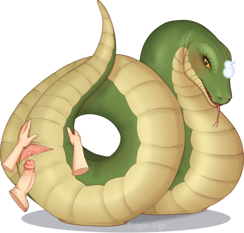 Juna (Runescape) Rule 34 Image
