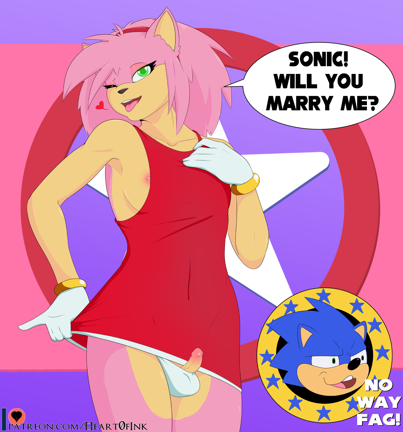 Amy Rose (Sonic (Series)) Rule 34 Image